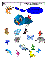 okul öncesi renkler çalışma sayfaları; verilen resimle aynı renkte olan resimleri işaretle